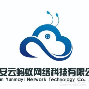 網(wǎng)絡(luò)科技服務(wù)在軟件開(kāi)發(fā)領(lǐng)域的創(chuàng)新應(yīng)用——以財(cái)務(wù)軟件為例